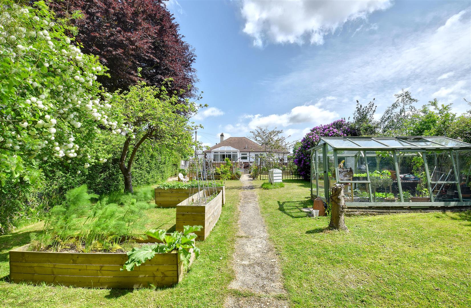 Ox Lane, St. Michaels, Tenterden Rush, Witt & Wilson